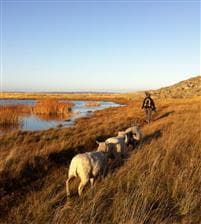 Galterö – en ö i Göteborgs södra skärgård