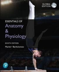 Essentials of AnatomyPhysiology, Global Edition