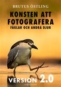 Konsten att fotografera fåglar och andra djur : version 2.0
