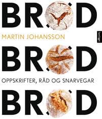 Brød, brød, brød; oppskrifter, råd og snarvegar