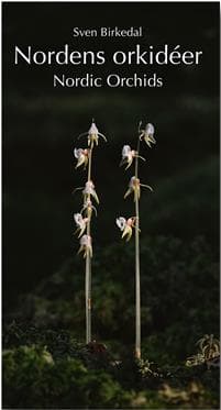 Nordens orkidéer : en fältguide / Nordic Orchids : a field guide