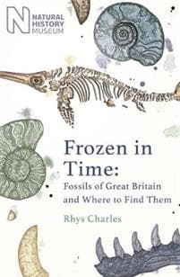 Frozen in Time