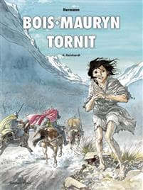Bois-Mauryn tornit