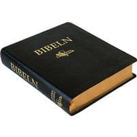Anteckningsbibel i svart cabraskinn