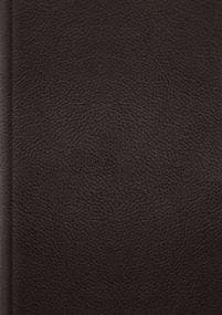 ESV Single Column Journaling Bible, Large Print