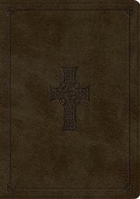 ESV Study Bible