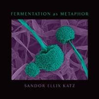 Fermentation as Metaphor