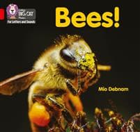 Bees!