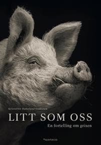 Litt som oss; en fortelling om grisen