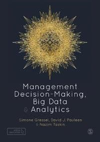 Management Decision-Making, Big Data and Analytics