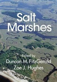 Salt Marshes