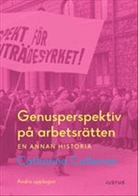 Genusperspektiv på arbetsrätten : en annan historia