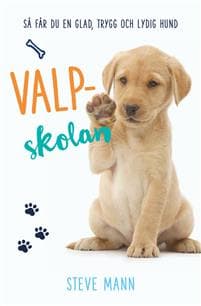 Valpskolan : Så får du en glad, trygg och lydig hund
