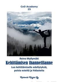 Kehittämisen ihannetilanne