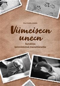 Viimeiseen uneen