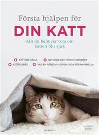 Första hjälpen för din katt