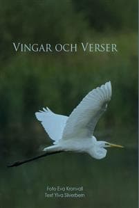 Vingar och verser