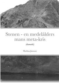 Stenen - en medelålders mans meta-kris