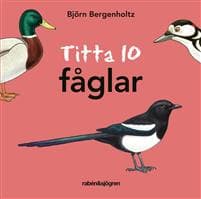 Titta 10 fåglar