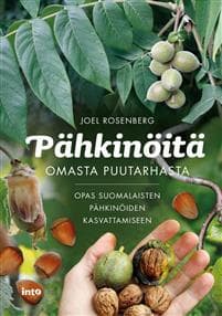 Pähkinöitä omasta puutarhasta