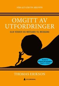 Omgitt av utfordringer; slik vender du motgang til medgang