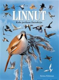 Suomen linnut