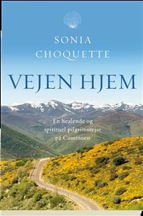 Vejen hjem
