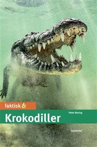 Krokodiller