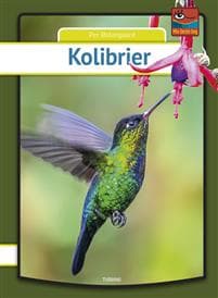 Kolibrier
