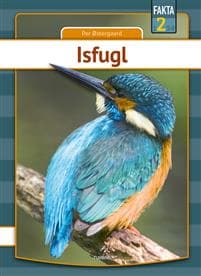 Isfugl