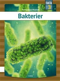 Bakterier