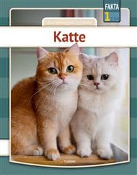 Katte