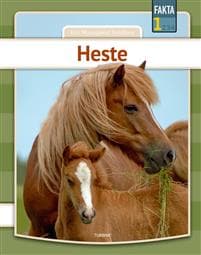 Heste