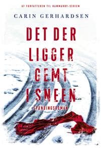 Det der ligger gemt i sneen