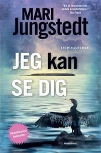 Jeg kan se dig