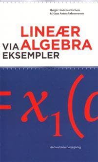 Lineaer Algebra Via Eksempler