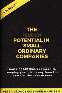 The hidden potential of small ordinary companies