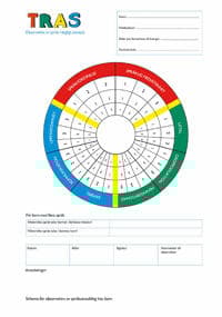TRAS Cirkelschema, 10 st