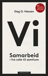 Vi