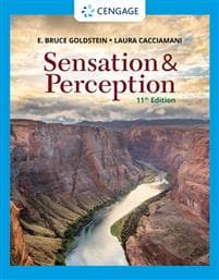 Sensation and Perception