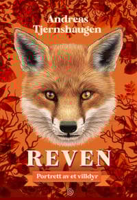 Reven; portrett av et villdyr