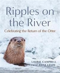 Ripples on the River
