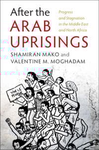 After the Arab Uprisings