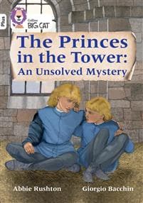 The Princes in the Tower: An Unsolved Mystery