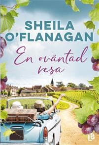 En oväntad resa