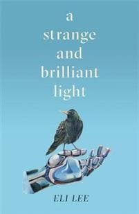 A Strange and Brilliant Light: Winner of the Writers’ Guild Best First Novel Award