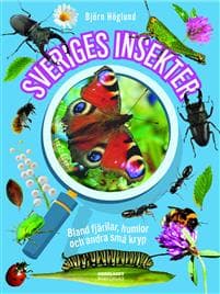 Sveriges insekter bland fjärilar, humlor och andra små kryp Björn