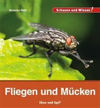 Fliegen und Mücken