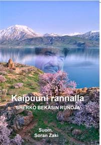 Kaipuuni rannalla