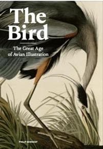 The Bird